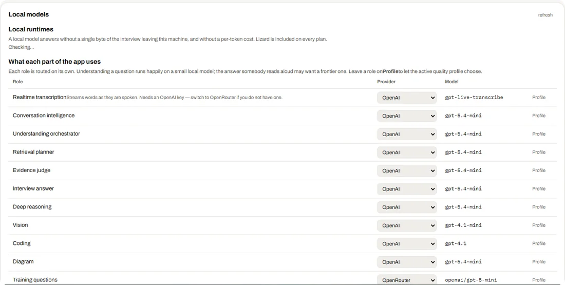 The Models tab: local runtimes and the table of roles with provider and model for each.